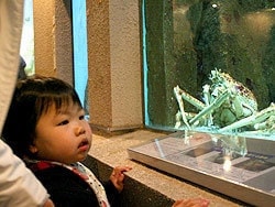 水族館