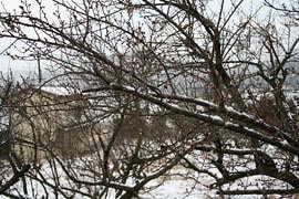 南高梅雪景色