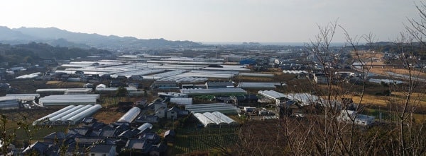 みなべ平野